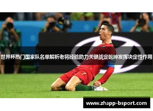 世界杯热门国家队名单解析老将经验助力关键战定乾坤发挥决定性作用